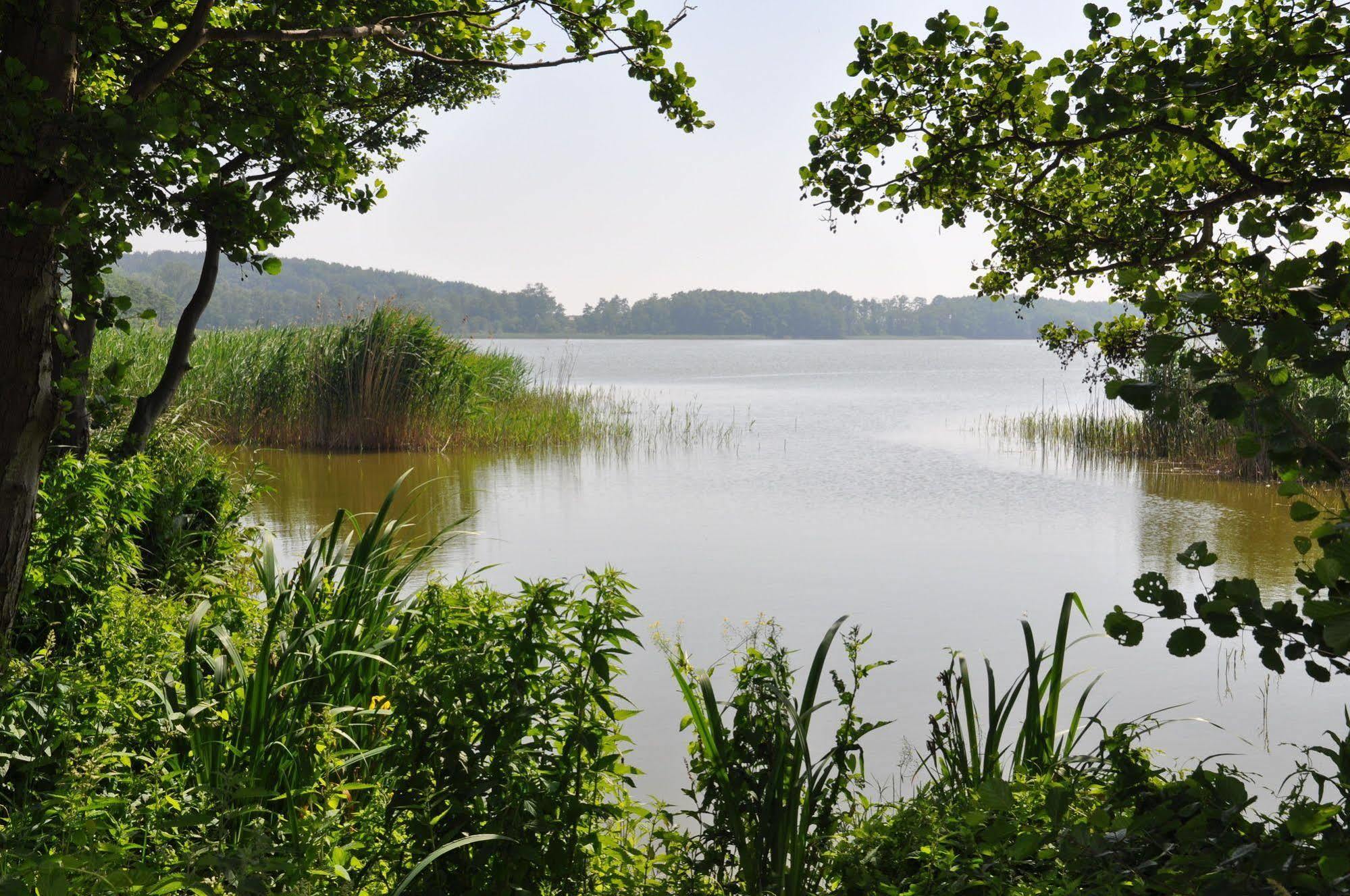 Hotel Am Gothensee هيرينجسدورف المظهر الخارجي الصورة